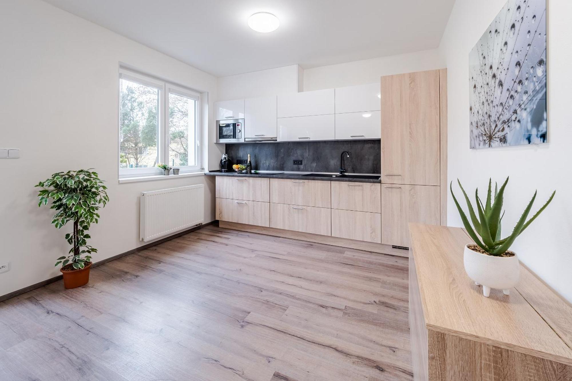 Private Luxury Apartments - Apartman G3 Frymburk Esterno foto