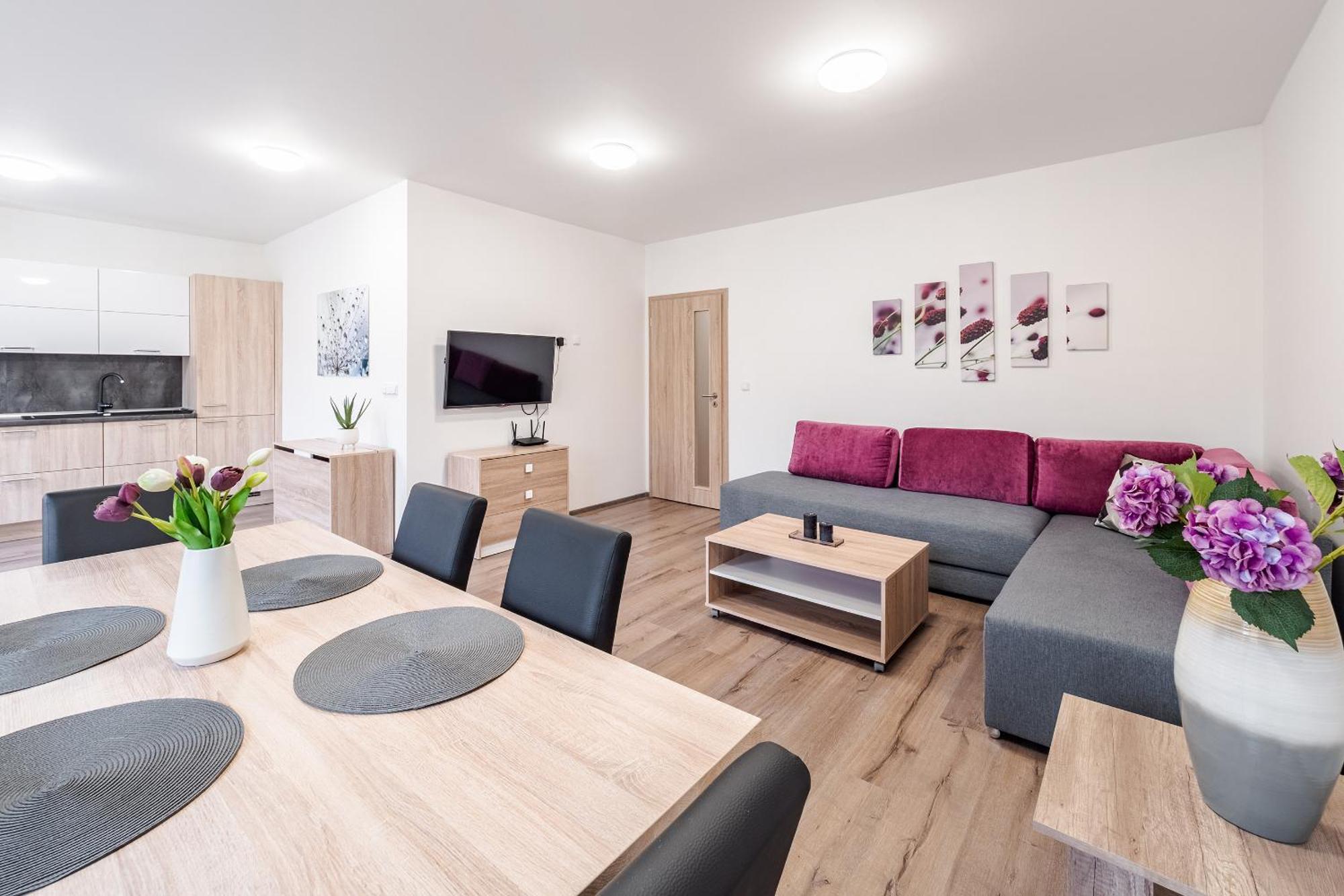 Private Luxury Apartments - Apartman G3 Frymburk Esterno foto